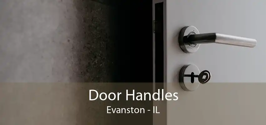 Door Handles Evanston - IL