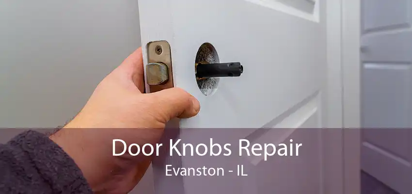 Door Knobs Repair Evanston - IL